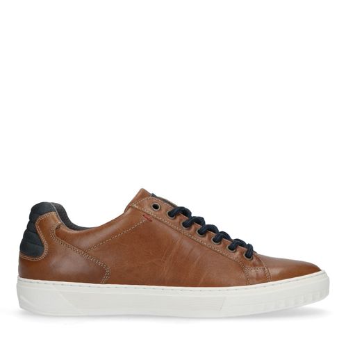 Baskets en cuir - marron