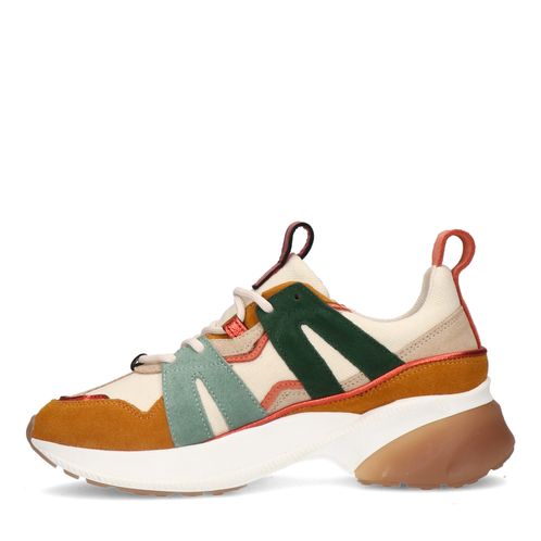 Baskets en daim avec détails colorés - marron