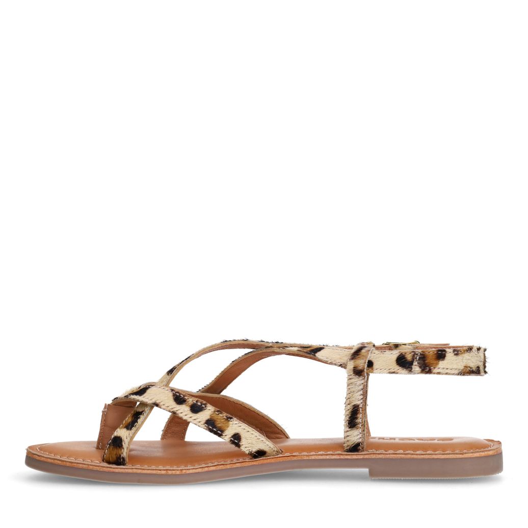 Leopard sandalen met gekruiste bandjes