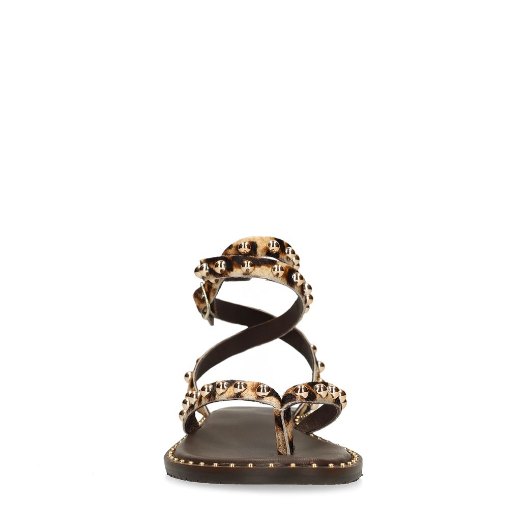 Leopard sandalen met goudkleurige studs